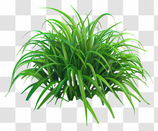 Grass Greenery - Lush Green Bush In Nature Transparent PNG