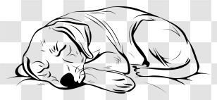 One Line Dog - Sleeping Dog Line Art Illustration Transparent PNG