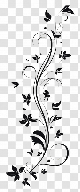 Fancy Line - Black And White Floral Decorative Design With Vines And Leaves Transparent PNG