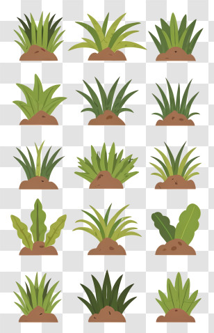 Flat Illustration - Green Grass Patches Illustration Transparent PNG