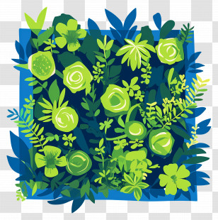Bush Top View - Beautiful Green Foliage Illustration Background Transparent PNG