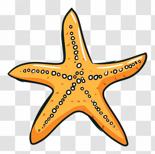 Starfish - Bright Orange Starfish Illustration Transparent PNG