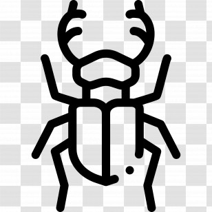 Beetle - Minimalist Beetle Outline Icon Transparent PNG