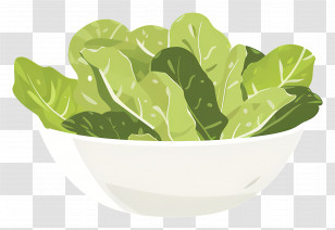 Salad - Bowl Of Fresh Green Lettuce Illustration Transparent PNG