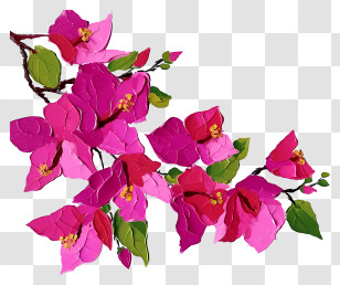 Bougainvillea Painting - Beautiful Pink Flowers On Branch Transparent PNG