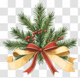 Christmas Tree Branch - Festive Christmas Pine Decoration Transparent PNG