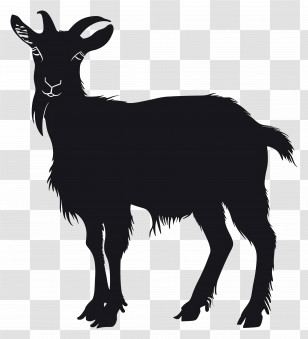 Goat Silhouette - Silhouette Of A Goat Transparent PNG