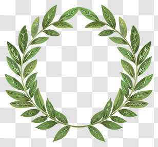 Laurel Wreath - Realistic Green Laurel Wreath Symbol Transparent PNG