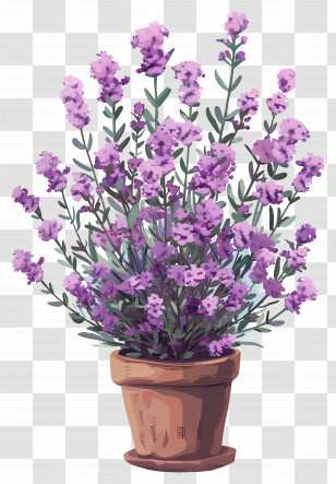 Lilac Flowers - Potted Purple Flowers Illustration Transparent PNG