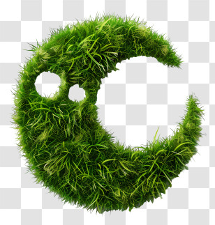 Green Grass - Crescent Moon Shaped Grass Art Transparent PNG