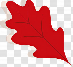 Autumn Leaf Autumn Color Transparent PNG