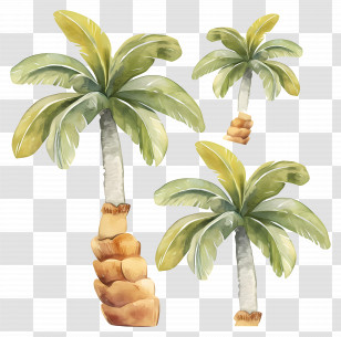 Palm Trees - Palm Trees With Thick Trunks Illustration Transparent PNG