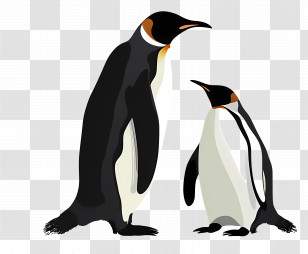 Penguins - Adorable Pair Of Penguins Together Transparent PNG
