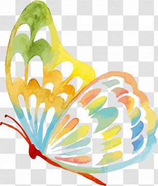 Butterfly - Green Transparent PNG