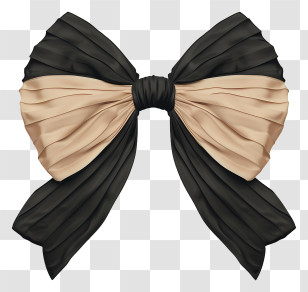 Bow - Black And Beige Bow Transparent PNG