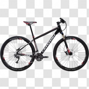 scott sports orbea