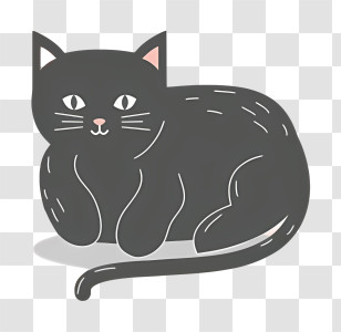 Gray Cat - Black Cat Minimal Illustration Transparent PNG