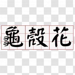Taiwanese Hokkien Japanese Morning Glory Southern Min Minnan Standard Chinese - Flower - ç¬”è®°æœ¬å°é¢ Transparent PNG