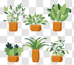 Potted Plants - Illustrated Potted Plants Collection Transparent PNG