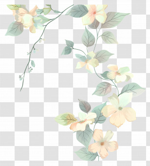 Pastel Flowers - Elegant Floral Design With Leaves Transparent PNG