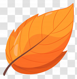 Single Leaf - Orange Autumn Leaf Illustration Transparent PNG