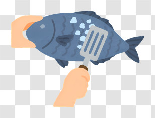 Kitchen Elements - Cartoon Illustration Of Fish Cleaning Process Transparent PNG
