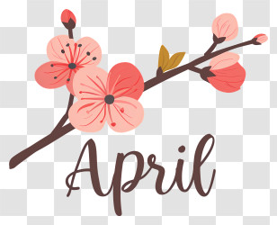 April - April Flowers Illustration Transparent PNG