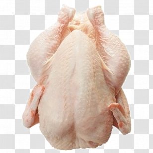 Chicken As Food Buffalo Wing Frozen Poultry - Watercolor Transparent PNG
