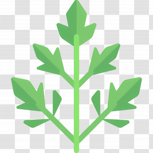 Parsley - Green Leaf Graphic In Flat Style Transparent PNG