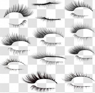 Eyelash Brush - Tree - Eyebrows Transparent PNG