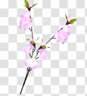 Cut Flowers Floral Design Twig - Plant - Flower Transparent PNG