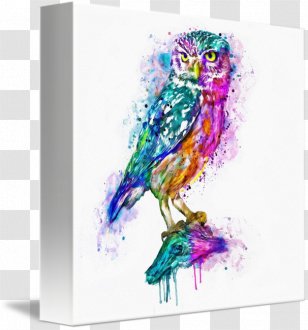 Owl Watercolor Painting Canvas Print Art - Printing - Colorful Transparent PNG