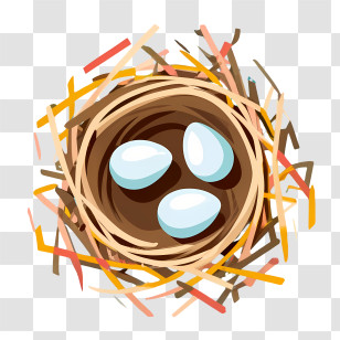 Cartoon Eggs - Bird Nest With Eggs In Nature Transparent PNG