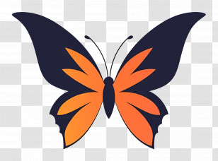 Butterfly Logo - Luxurious Black And Gold Butterfly Transparent PNG