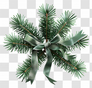 Christmas Tree Branch - Green Pine With Ribbon For Christmas Decoration Transparent PNG