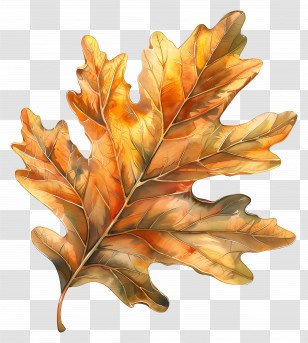 Watercolour Leaf - Autumn Leaf With Warm Colors Transparent PNG