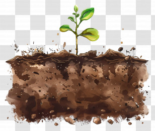 Soil Land - Illustration Of A Plant Sprouting From Soil Transparent PNG