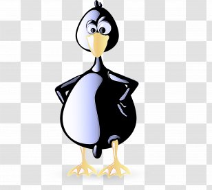 Penguin - Beak - Ducks Geese And Swans Water Bird Transparent PNG