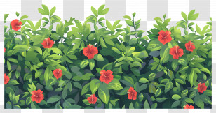 Flower Bush - Green Hedge With Red Flowers Transparent PNG