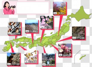 Collage Recreation Transparent PNG