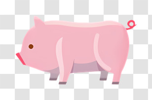 Pig - Cute Pink Pig In Cartoon Style Transparent PNG