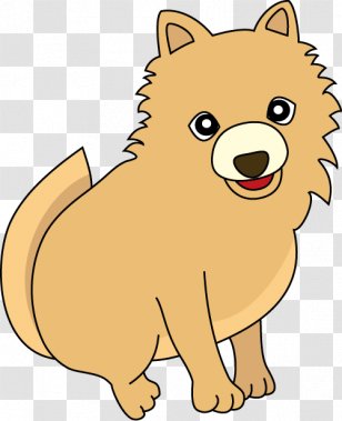 Pomeranian Finnish Spitz Puppy Dog Breed Whiskers Transparent PNG