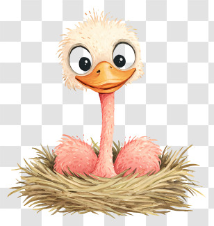 Ostrich Nesting - Ostrich Sitting In Nest Transparent PNG