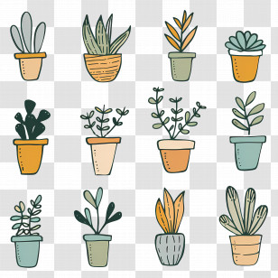 Houseplants In Pots - Illustrated Potted Plants In Variety Of Styles Transparent PNG