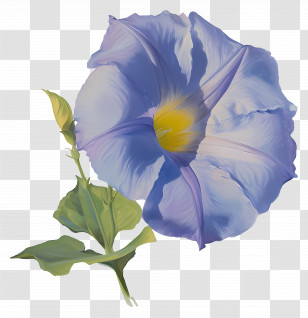 Blue Flower - Beautiful Blue Flower Illustration Transparent PNG
