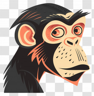 Monkey - Cartoon Chimpanzee Illustration Transparent PNG