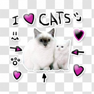 whiskers roblox cat minecraft illustration png clipart