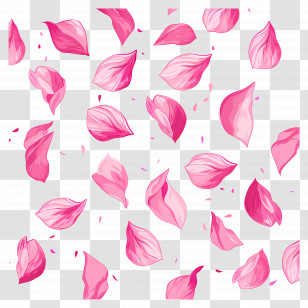 Flower Petals - Falling Pink Flower Petals Transparent PNG