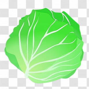 Green Leaf Watercolor - Plant - Morning Glory Herbaceous Transparent PNG