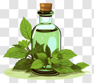 Essential Oil - Green Bottle With Fresh Mint Leaves Transparent PNG
